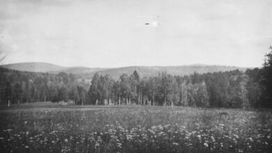 Photo of История развития села Абалаково