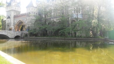 Photo of Гранд тур по Италии: Венеция, Флоренция, Рим и Неаполь