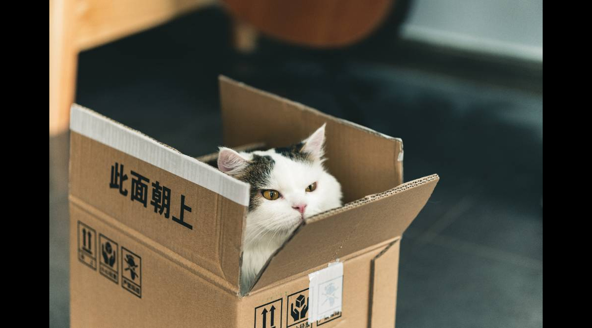 Фото 6 — Советы по упаковке вещей в дорогу